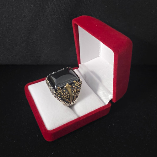 Herren siegelring silber - herren, 925
