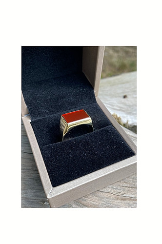 Herren gold siegel - herren, ring